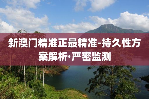 新澳門精準正最精準-持久性方案解析·嚴密監(jiān)測