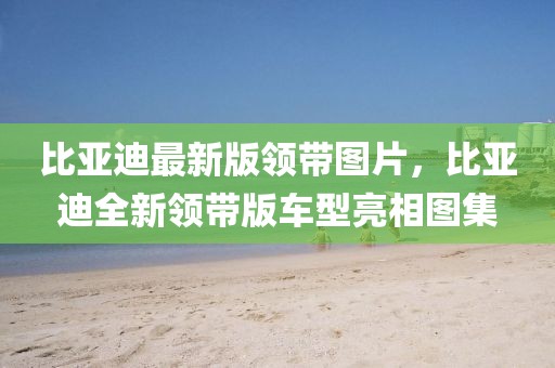 比亞迪最新版領(lǐng)帶圖片，比亞迪全新領(lǐng)帶版車型亮相圖集