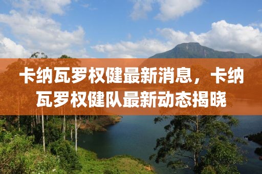 卡納瓦羅權(quán)健最新消息，卡納瓦羅權(quán)健隊(duì)最新動(dòng)態(tài)揭曉
