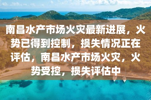 南昌水產(chǎn)市場火災(zāi)最新進展，火勢已得到控制，損失情況正在評估，南昌水產(chǎn)市場火災(zāi)，火勢受控，損失評估中