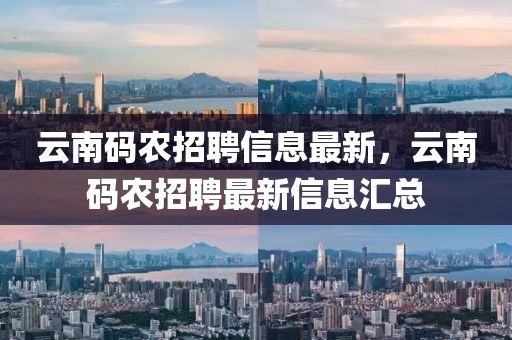 云南碼農(nóng)招聘信息最新，云南碼農(nóng)招聘最新信息匯總