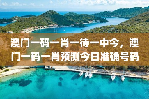 澳門一碼一肖一待一中今，澳門一碼一肖預(yù)測今日準確號碼