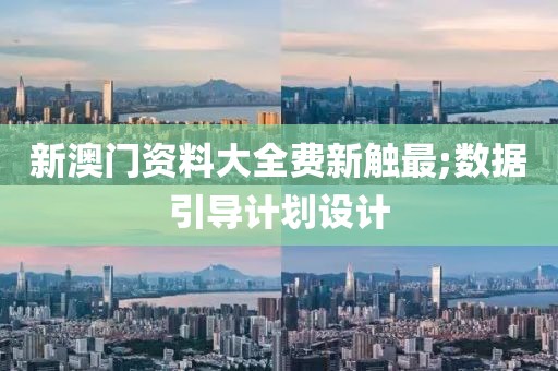 新澳門資料大全費新觸最;數據引導計劃設計