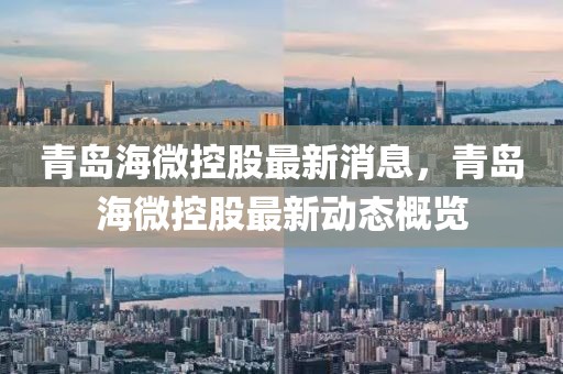 青島海微控股最新消息，青島海微控股最新動態(tài)概覽