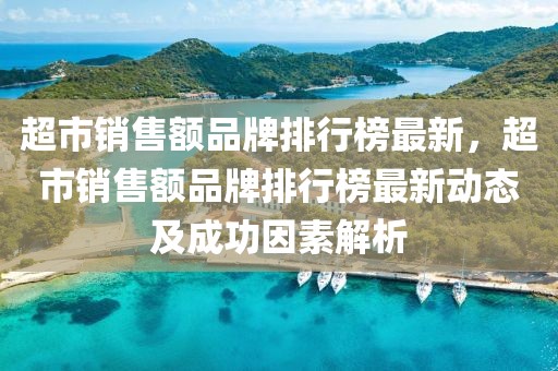 超市銷售額品牌排行榜最新，超市銷售額品牌排行榜最新動態(tài)及成功因素解析