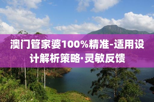 澳門管家婆100%精準(zhǔn)-適用設(shè)計(jì)解析策略·靈敏反饋