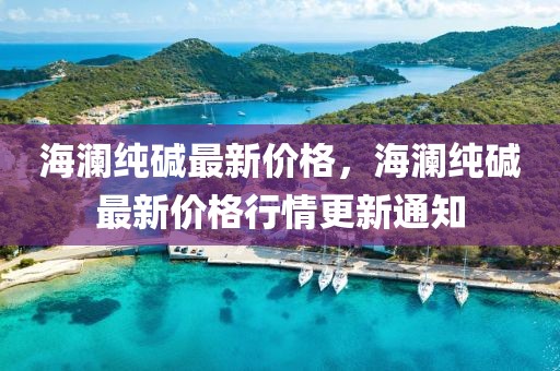 海瀾純堿最新價格，海瀾純堿最新價格行情更新通知