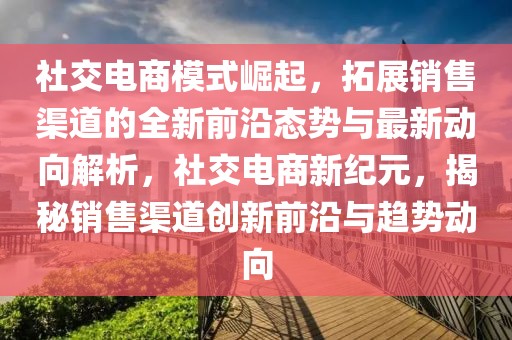 社交電商模式崛起，拓展銷售渠道的全新前沿態(tài)勢(shì)與最新動(dòng)向解析，社交電商新紀(jì)元，揭秘銷售渠道創(chuàng)新前沿與趨勢(shì)動(dòng)向