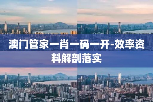 澳門管家一肖一碼一開-效率資料解剖落實(shí)