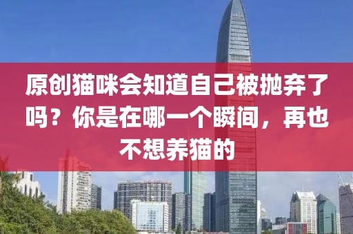 原創(chuàng)貓咪會知道自己被拋棄了嗎？你是在哪一個瞬間，再也不想養(yǎng)貓的