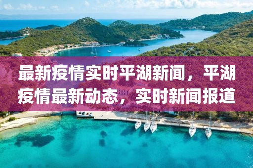 最新疫情實(shí)時(shí)平湖新聞，平湖疫情最新動(dòng)態(tài)，實(shí)時(shí)新聞報(bào)道