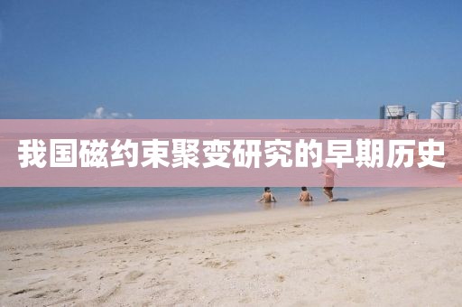我國磁約束聚變研究的早期歷史