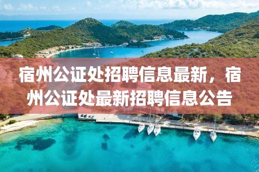 宿州公證處招聘信息最新，宿州公證處最新招聘信息公告