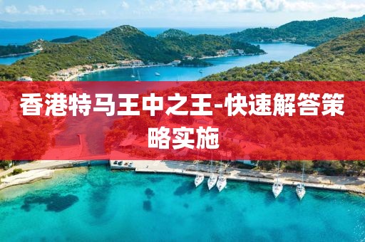 香港特馬王中之王-快速解答策略實施