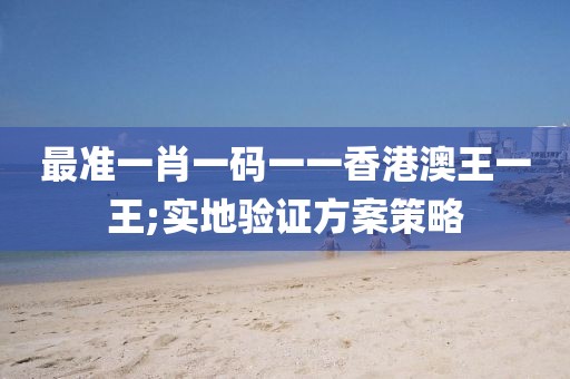 最準(zhǔn)一肖一碼一一香港澳王一王;實地驗證方案策略