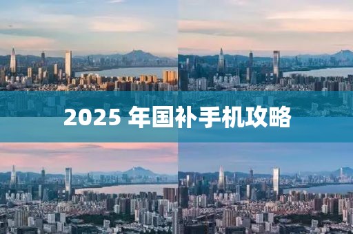 2025 年國(guó)補(bǔ)手機(jī)攻略