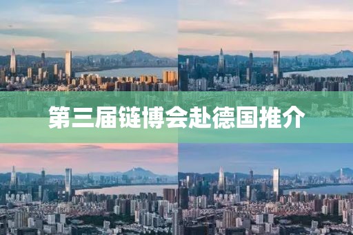 第三屆鏈博會赴德國推介
