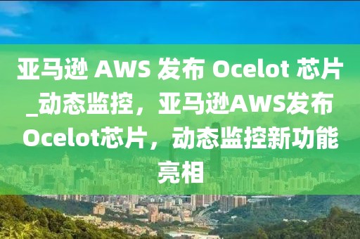 亞馬遜 AWS 發(fā)布 Ocelot 芯片_動(dòng)態(tài)監(jiān)控，亞馬遜AWS發(fā)布Ocelot芯片，動(dòng)態(tài)監(jiān)控新功能亮相