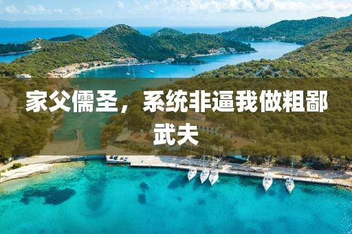 家父儒圣，系統(tǒng)非逼我做粗鄙武夫