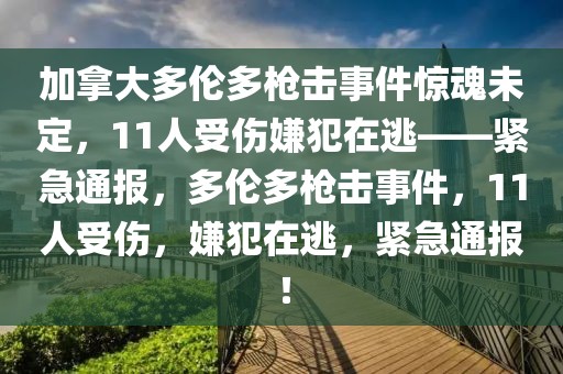 加拿大多倫多槍擊事件驚魂未定，11人受傷嫌犯在逃——緊急通報，多倫多槍擊事件，11人受傷，嫌犯在逃，緊急通報！