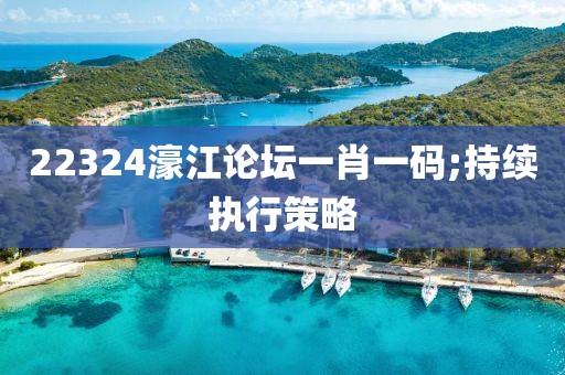 22324濠江論壇一肖一碼;持續(xù)執(zhí)行策略