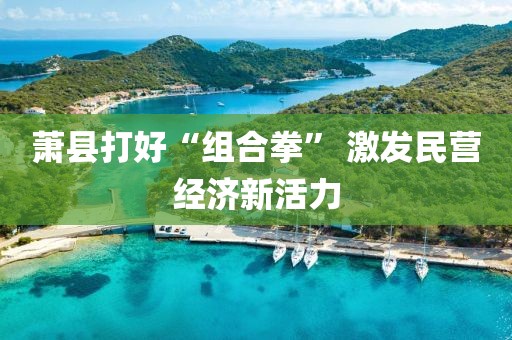 蕭縣打好“組合拳” 激發(fā)民營經(jīng)濟新活力