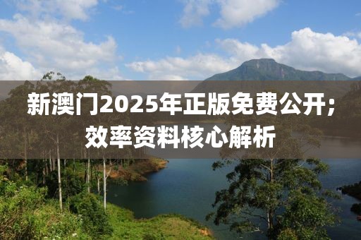 新澳門2025年正版免費公開;效率資料核心解析