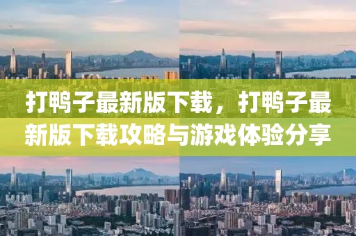 打鴨子最新版下載，打鴨子最新版下載攻略與游戲體驗(yàn)分享