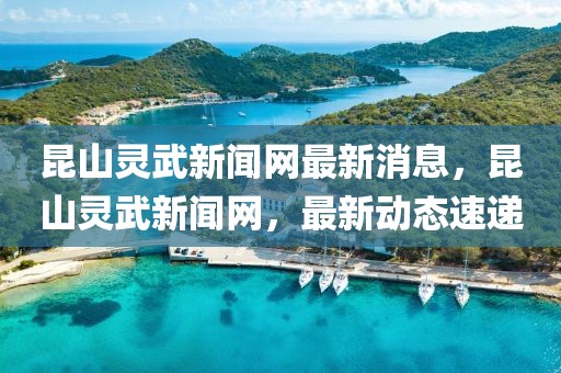 昆山靈武新聞網(wǎng)最新消息，昆山靈武新聞網(wǎng)，最新動(dòng)態(tài)速遞