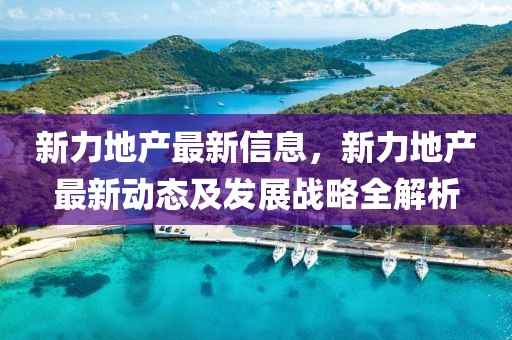新力地產(chǎn)最新信息，新力地產(chǎn)最新動(dòng)態(tài)及發(fā)展戰(zhàn)略全解析