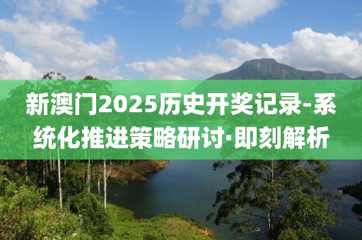 新澳門2025歷史開獎(jiǎng)記錄-系統(tǒng)化推進(jìn)策略研討·即刻解析