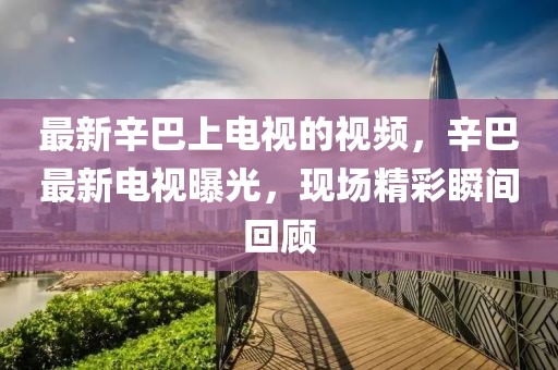 最新辛巴上電視的視頻，辛巴最新電視曝光，現(xiàn)場精彩瞬間回顧