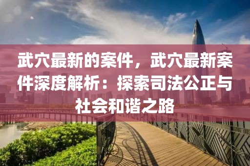 武穴最新的案件，武穴最新案件深度解析：探索司法公正與社會(huì)和諧之路