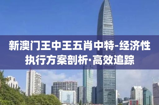 新澳門王中王五肖中特-經(jīng)濟(jì)性執(zhí)行方案剖析·高效追蹤