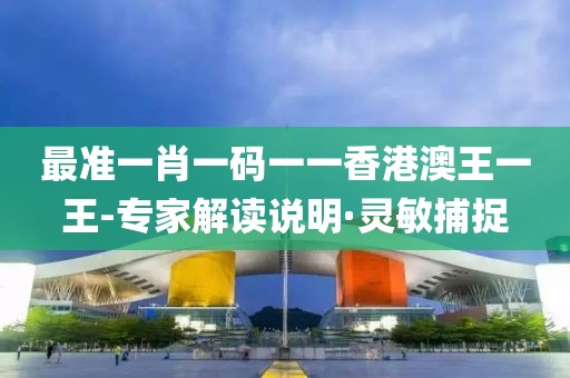 最準(zhǔn)一肖一碼一一香港澳王一王-專家解讀說(shuō)明·靈敏捕捉