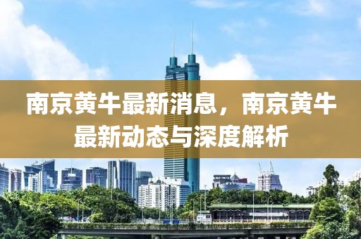南京黃牛最新消息，南京黃牛最新動態(tài)與深度解析