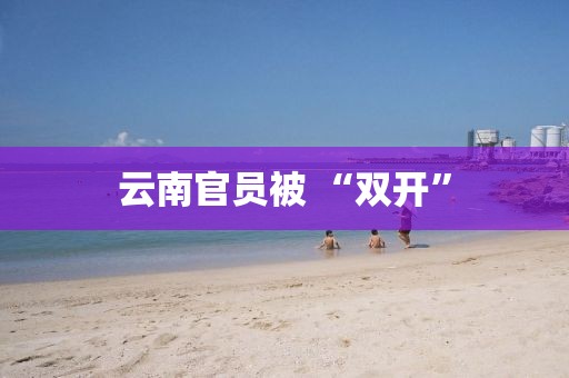 云南官員被 “雙開”