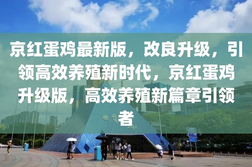 京紅蛋雞最新版，改良升級，引領(lǐng)高效養(yǎng)殖新時代，京紅蛋雞升級版，高效養(yǎng)殖新篇章引領(lǐng)者