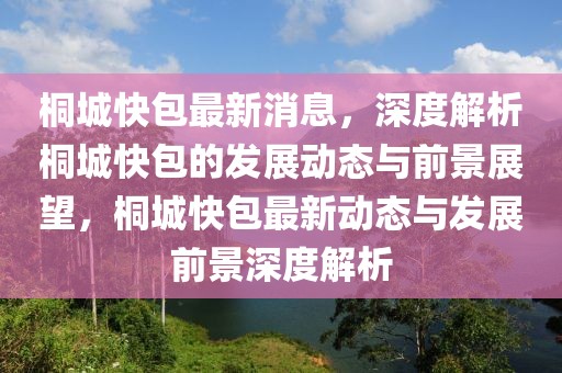 桐城快包最新消息，深度解析桐城快包的發(fā)展動(dòng)態(tài)與前景展望，桐城快包最新動(dòng)態(tài)與發(fā)展前景深度解析