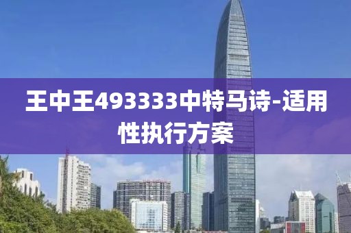 王中王493333中特馬詩-適用性執(zhí)行方案