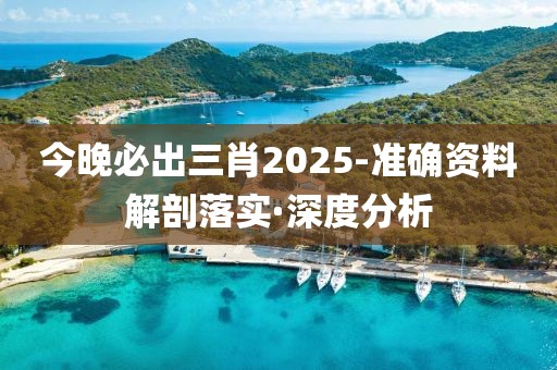 今晚必出三肖2025-準(zhǔn)確資料解剖落實(shí)·深度分析