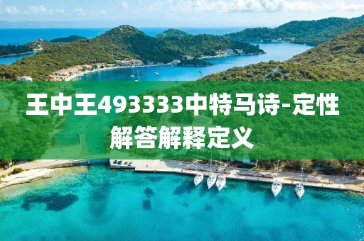 王中王493333中特馬詩-定性解答解釋定義