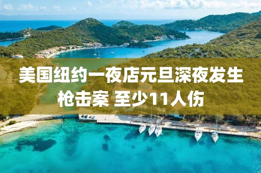 美國紐約一夜店元旦深夜發(fā)生槍擊案 至少11人傷