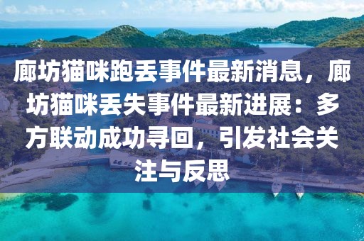 廊坊貓咪跑丟事件最新消息，廊坊貓咪丟失事件最新進展：多方聯(lián)動成功尋回，引發(fā)社會關注與反思