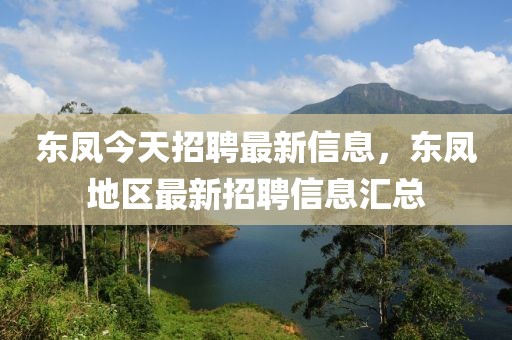東鳳今天招聘最新信息，東鳳地區(qū)最新招聘信息匯總