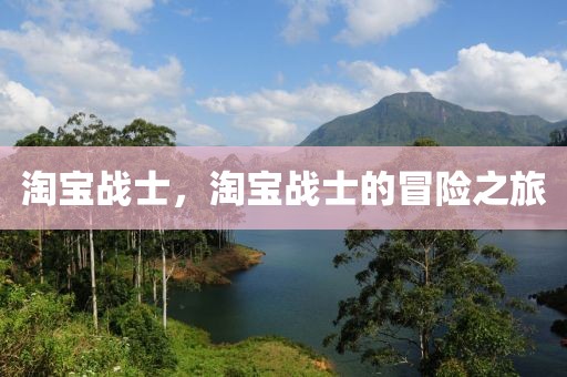 淘寶戰(zhàn)士，淘寶戰(zhàn)士的冒險之旅