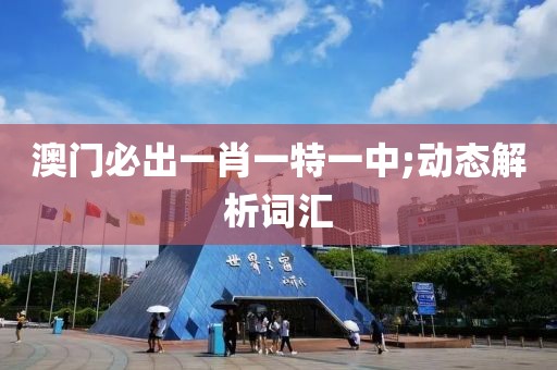 澳門必出一肖一特一中;動態(tài)解析詞匯