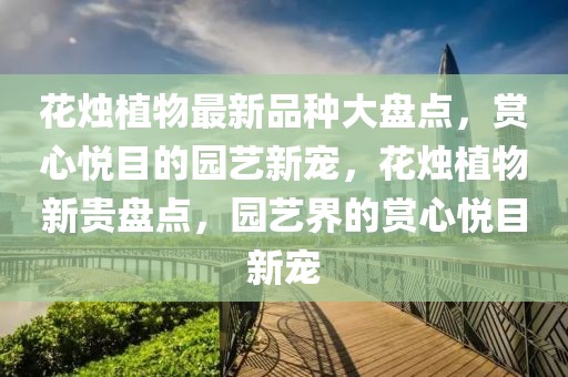 花燭植物最新品種大盤點(diǎn)，賞心悅目的園藝新寵，花燭植物新貴盤點(diǎn)，園藝界的賞心悅目新寵