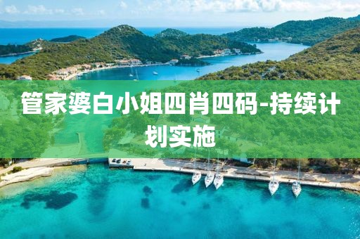 管家婆白小姐四肖四碼-持續(xù)計劃實施
