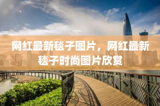 網(wǎng)紅最新毯子圖片，網(wǎng)紅最新毯子時尚圖片欣賞